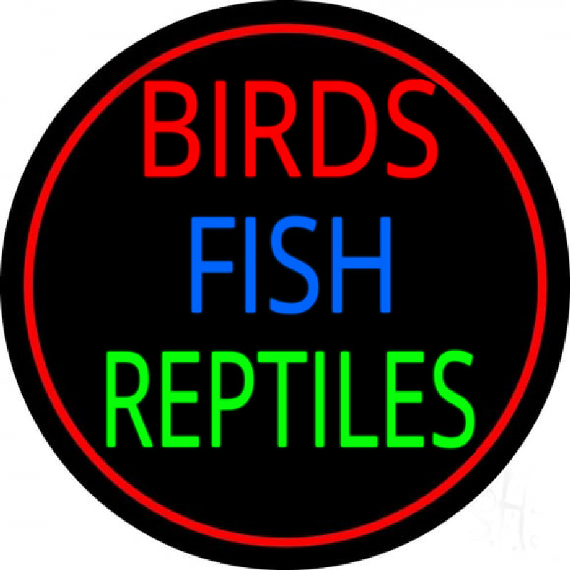 Birds Fish Reptiles 2 Leuchtreklame