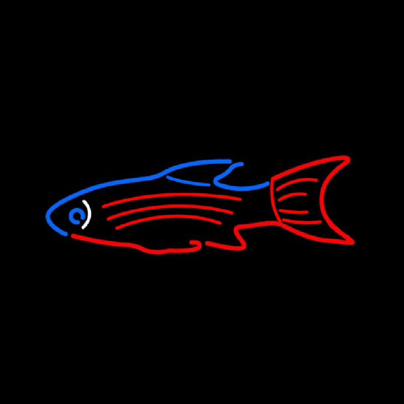 Blue Red Fish Leuchtreklame