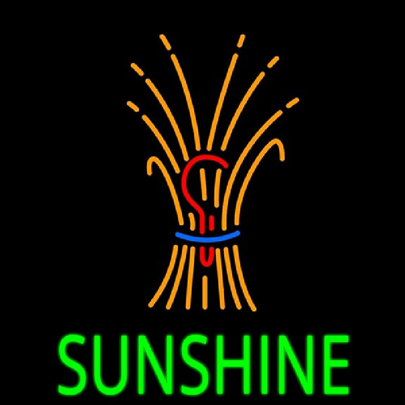 Sunshine With Logo Leuchtreklame