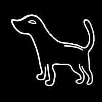 Logo Dog Leuchtreklame