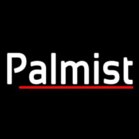 Palmist With Red Line Leuchtreklame