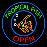 Tropical Fish Open Leuchtreklame