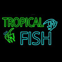 Tropical Fish With Logo 1 Leuchtreklame