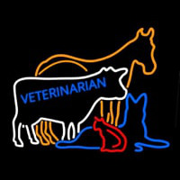 Vet Horse Cow Logo Leuchtreklame